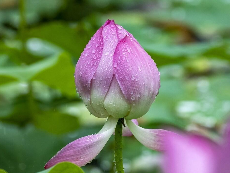 生活本不苦，苦的是慾望過剩