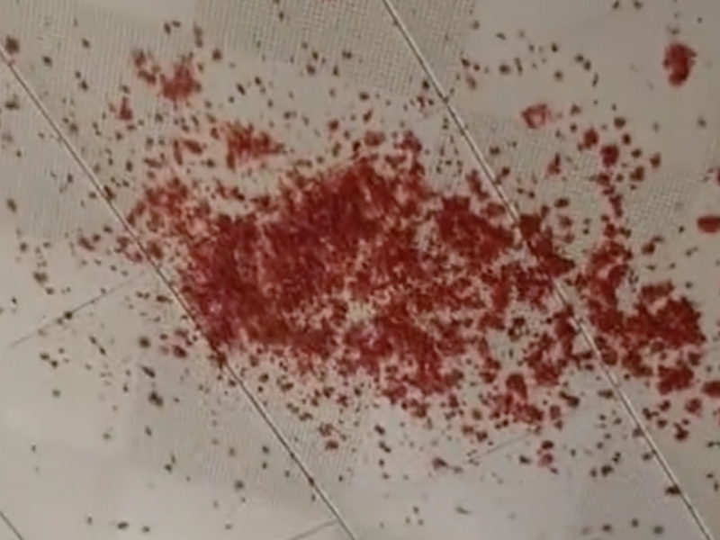 辣椒醬在候車廳爆炸，工作人員繃不住了