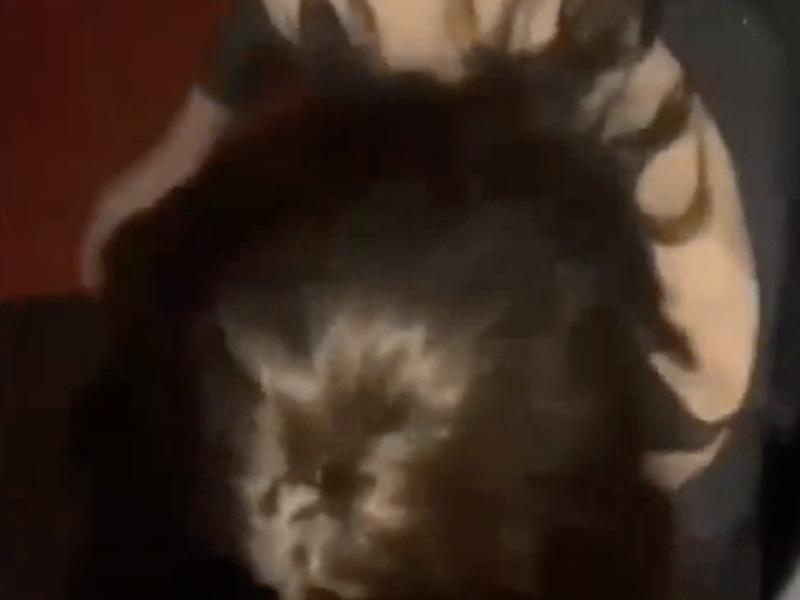 【有片】男約砲長髮正妹 3P 沒想到,正妹是 ... 【有片】男約砲長髮正妹 3P 沒想到,正妹是 ...