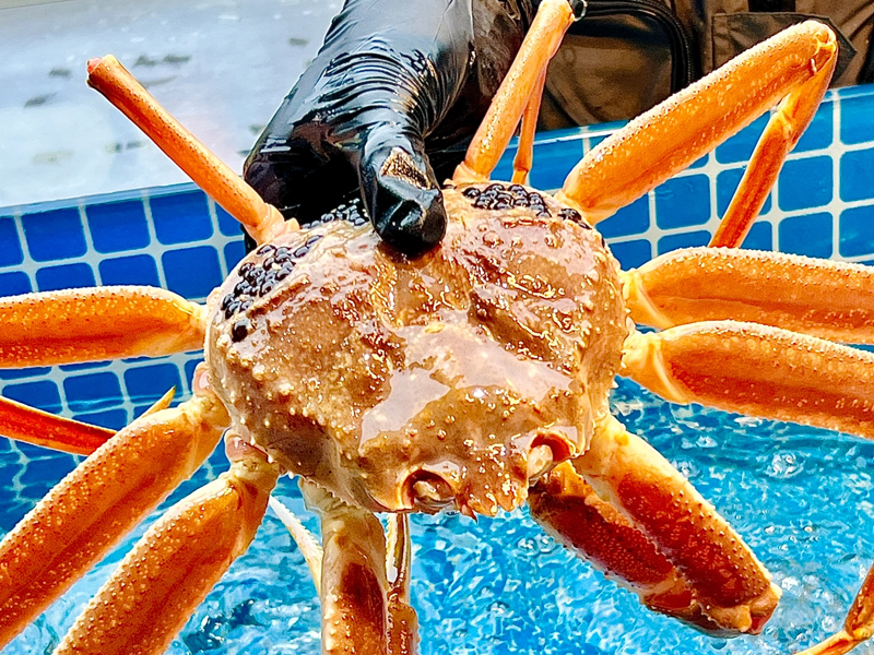 深圳：炭烤深海貝好好吃！！