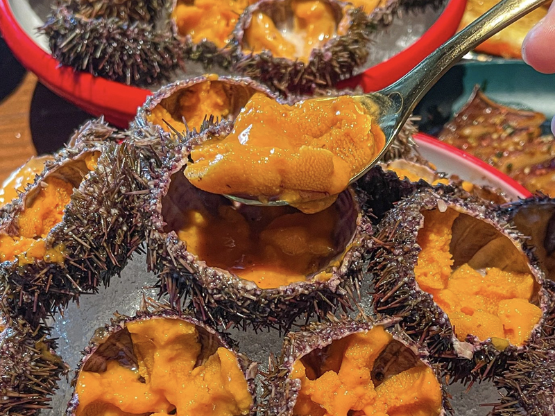 深圳:任食海膽、拖羅、鵝肝!好喜歡這家日式放題!! 深圳:任食海膽、拖羅、鵝肝!好喜歡這家日式放題!!