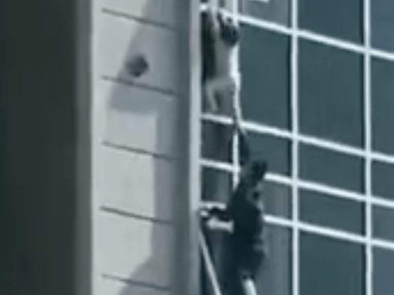 真英雄：十幾層樓的窗外，徒手拯救小孩