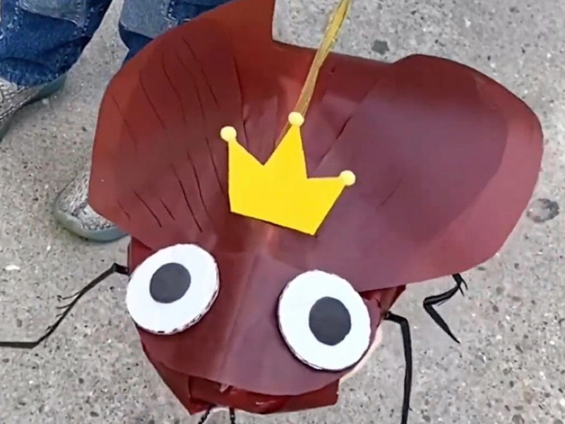 4 歲寶寶，帶著炸裂蟑螂燈籠上學去