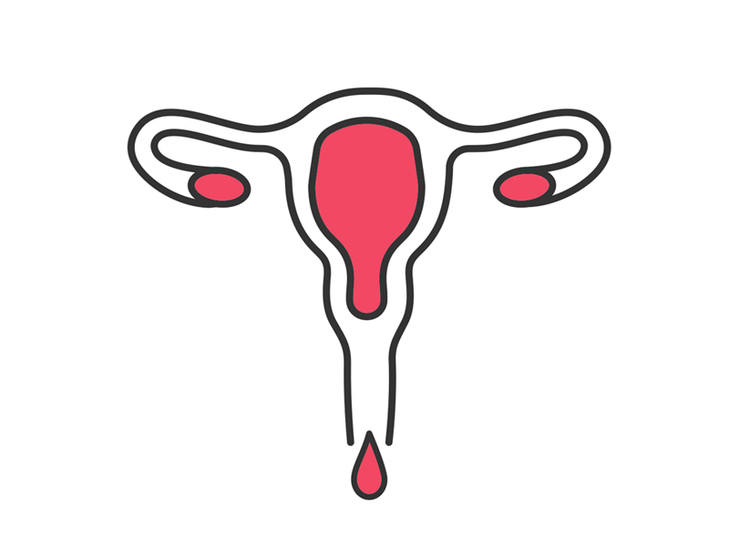 生殖科醫生：月經有這 5 個表現，說明子宮很好
