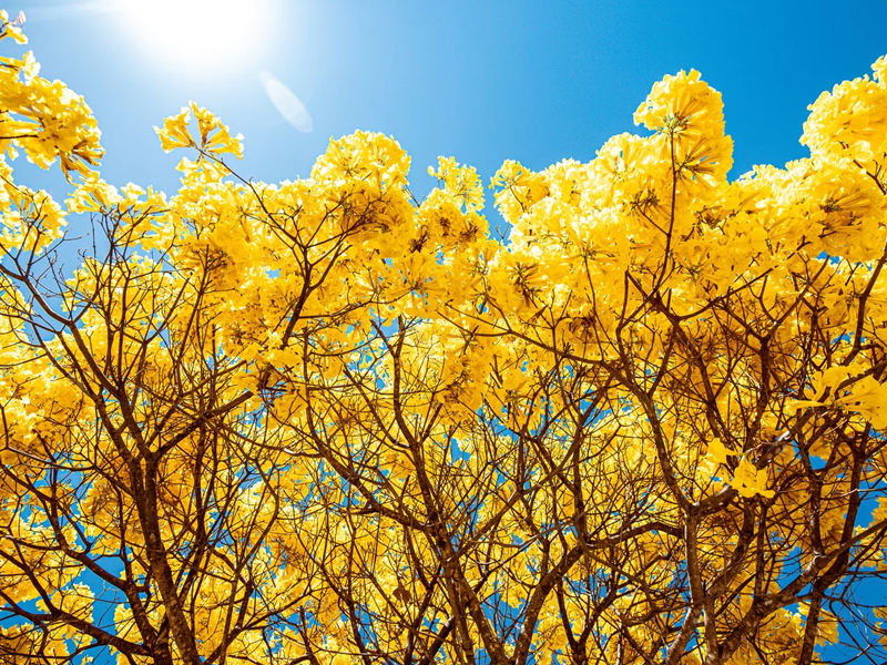 吸引貴人的簡單方法