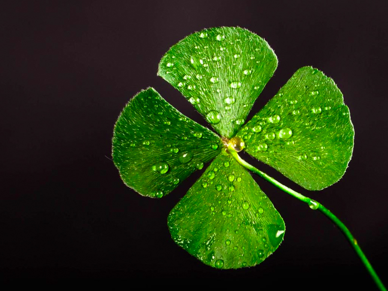 人逢喜事精神爽,好運來臨的 8 種徵兆! 人逢喜事精神爽,好運來臨的 8 種徵兆!