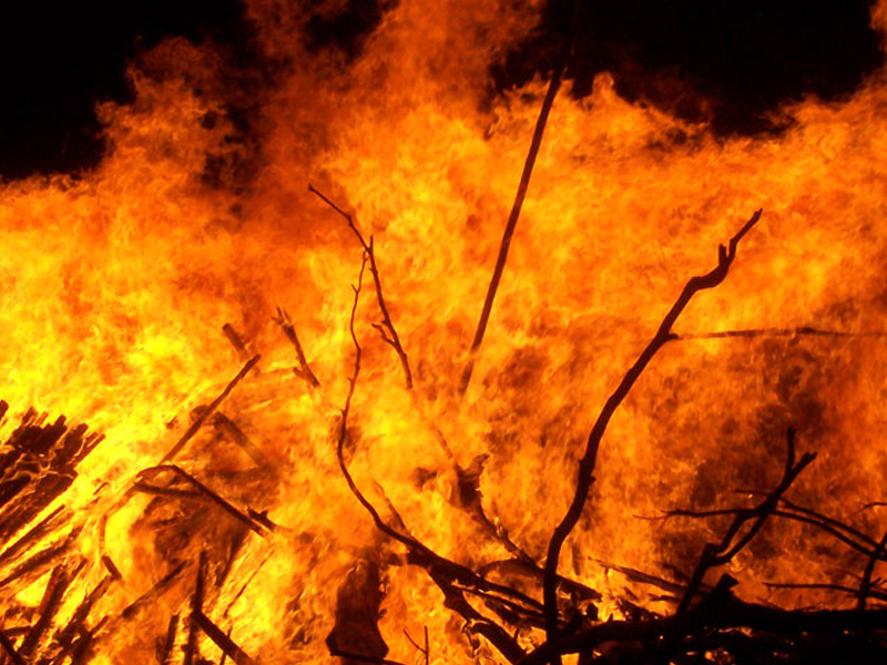 4 個最常見惡夢，看似不祥其實是好預兆