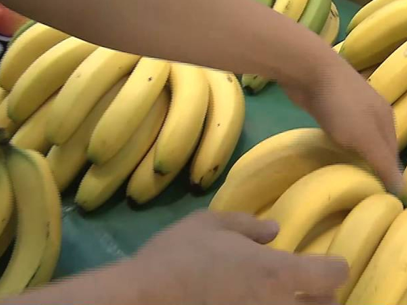 3 種水果被列入「致癌名單」,到底是不是真的? 3 種水果被列入「致癌名單」,到底是不是真的?