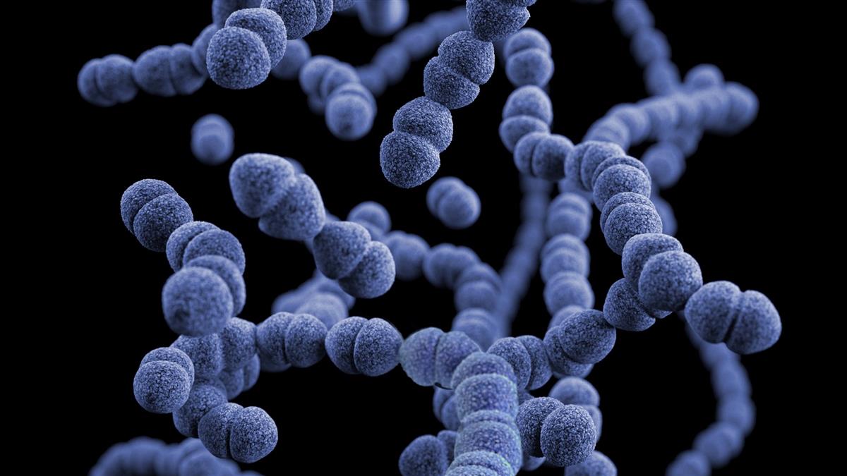 日本爆發「食人菌」疫情
