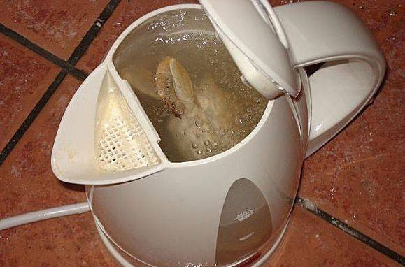 酒店清潔阿姨提醒：熱水壺不是最髒的，這 3 個地方才是 ...