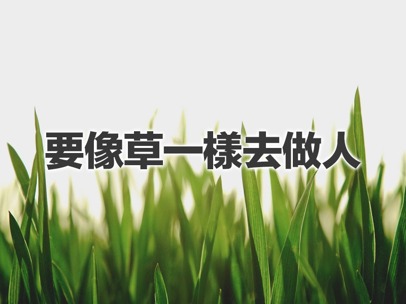要像草一樣去做人