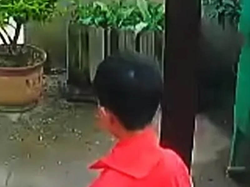 9 歲男孩長期被老師體罰，上學前跳樓身亡