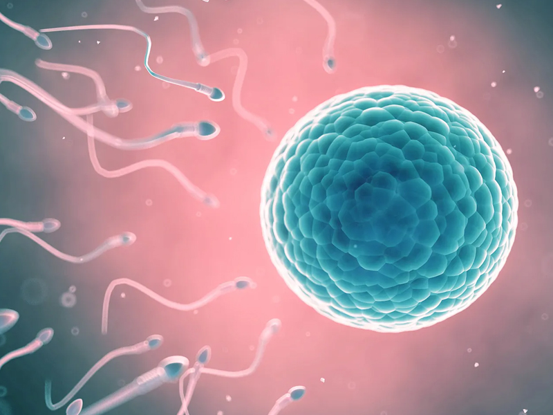 研究發現：男性每月射精 21 次，前列腺癌風險降 22%