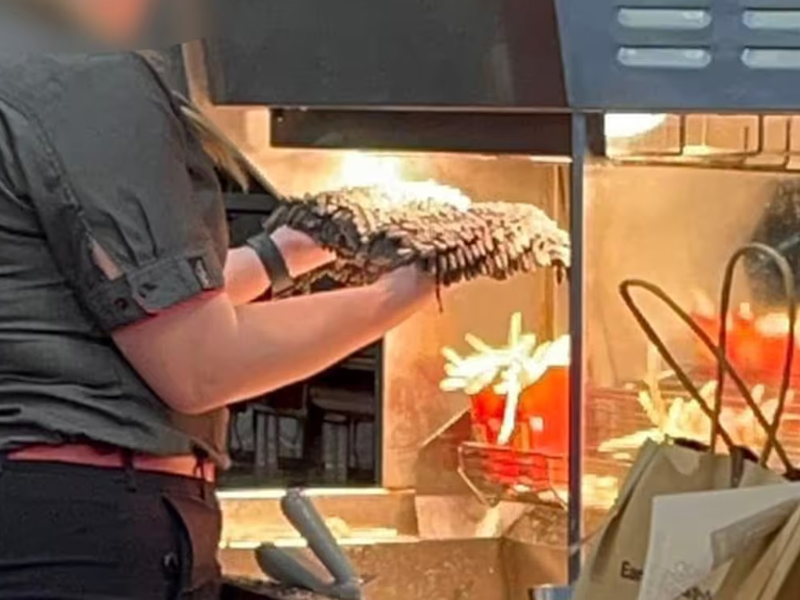 麥當勞衛生醜聞曝光：員工竟用炸薯條保溫燈烘乾拖把頭