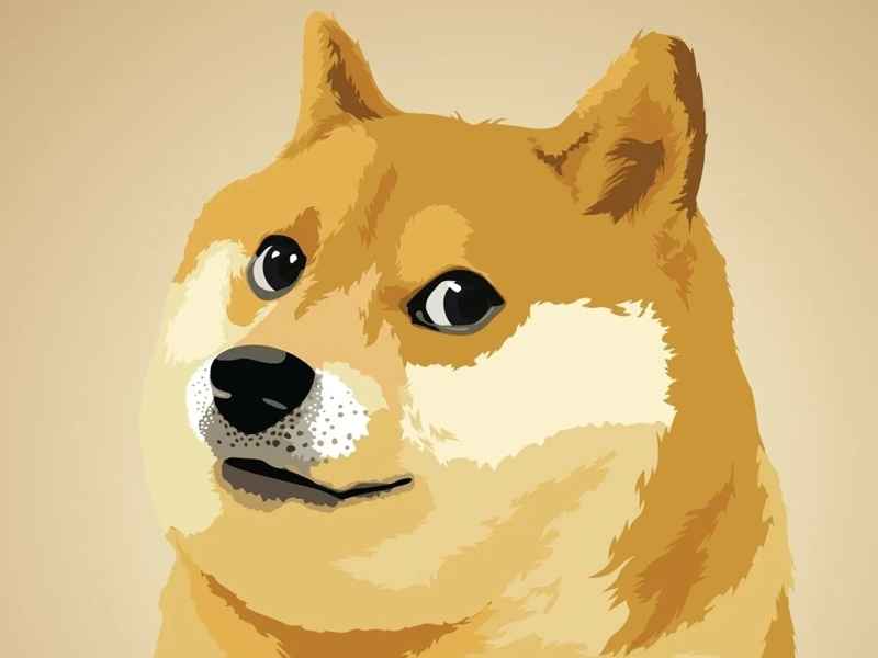 網絡紅犬 Kabosu 永別：Doge 迷因背後的傳奇離去