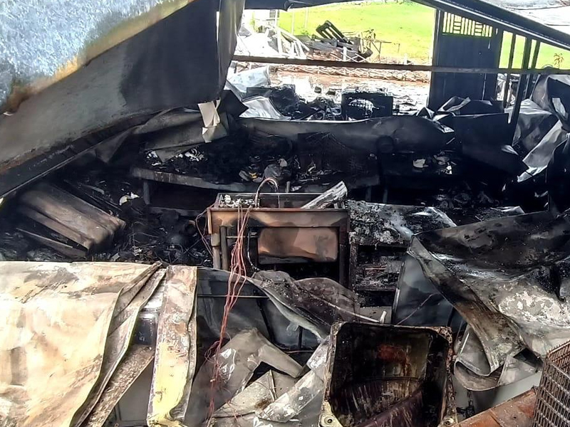 元朗火警驚現40具貓屍！背後真相令人震驚！