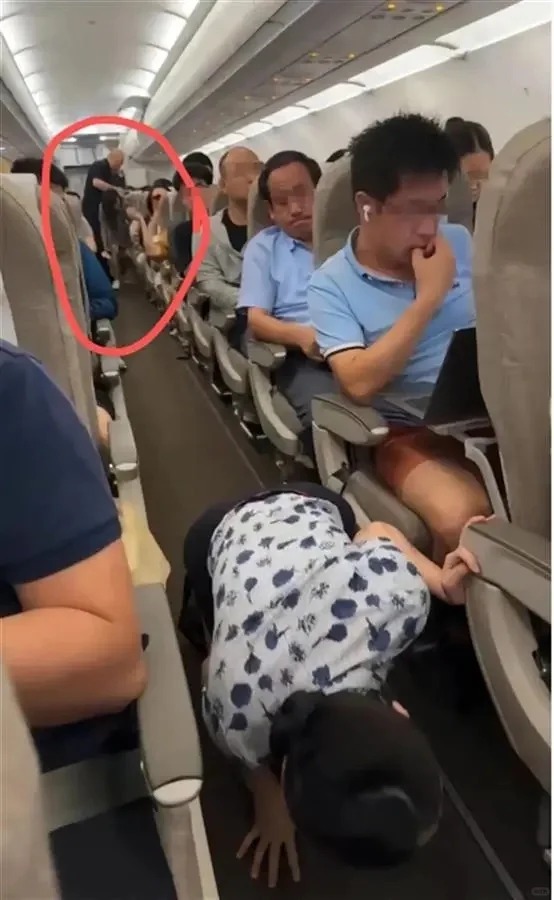 不可思議！旅客攜倉鼠上飛機，航班延誤引發眾怒