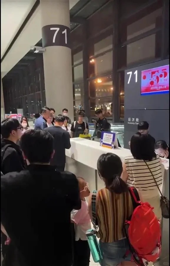 不可思議！旅客攜倉鼠上飛機，航班延誤引發眾怒