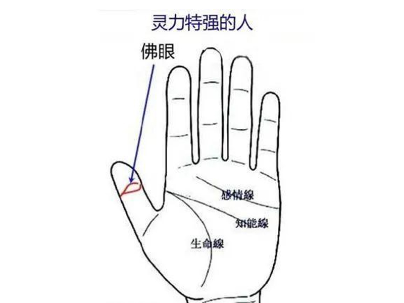 手相揭秘：左手右手有佛眼紋，代表什麼？