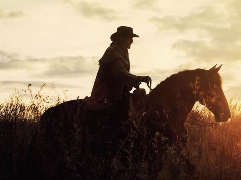 明明就騎馬！西部牛仔為何被叫做「牛仔」？