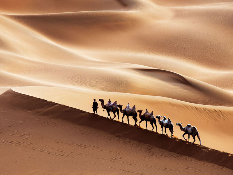 你以為你是誰！