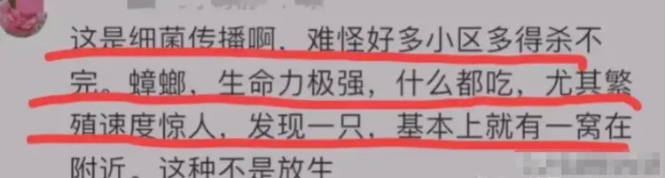 女子屋苑放生數百隻蟑螂積功德