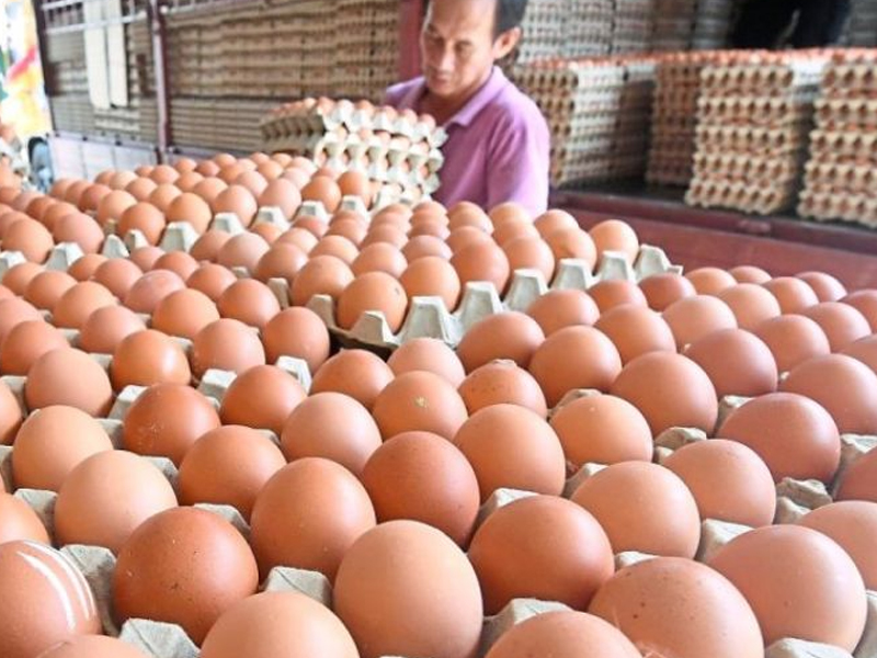 面試:一顆雞蛋 5 元,10 顆雞蛋多少?答 50 會被淘汰 面試:一顆雞蛋 5 元,10 顆雞蛋多少?答 50 會被淘汰