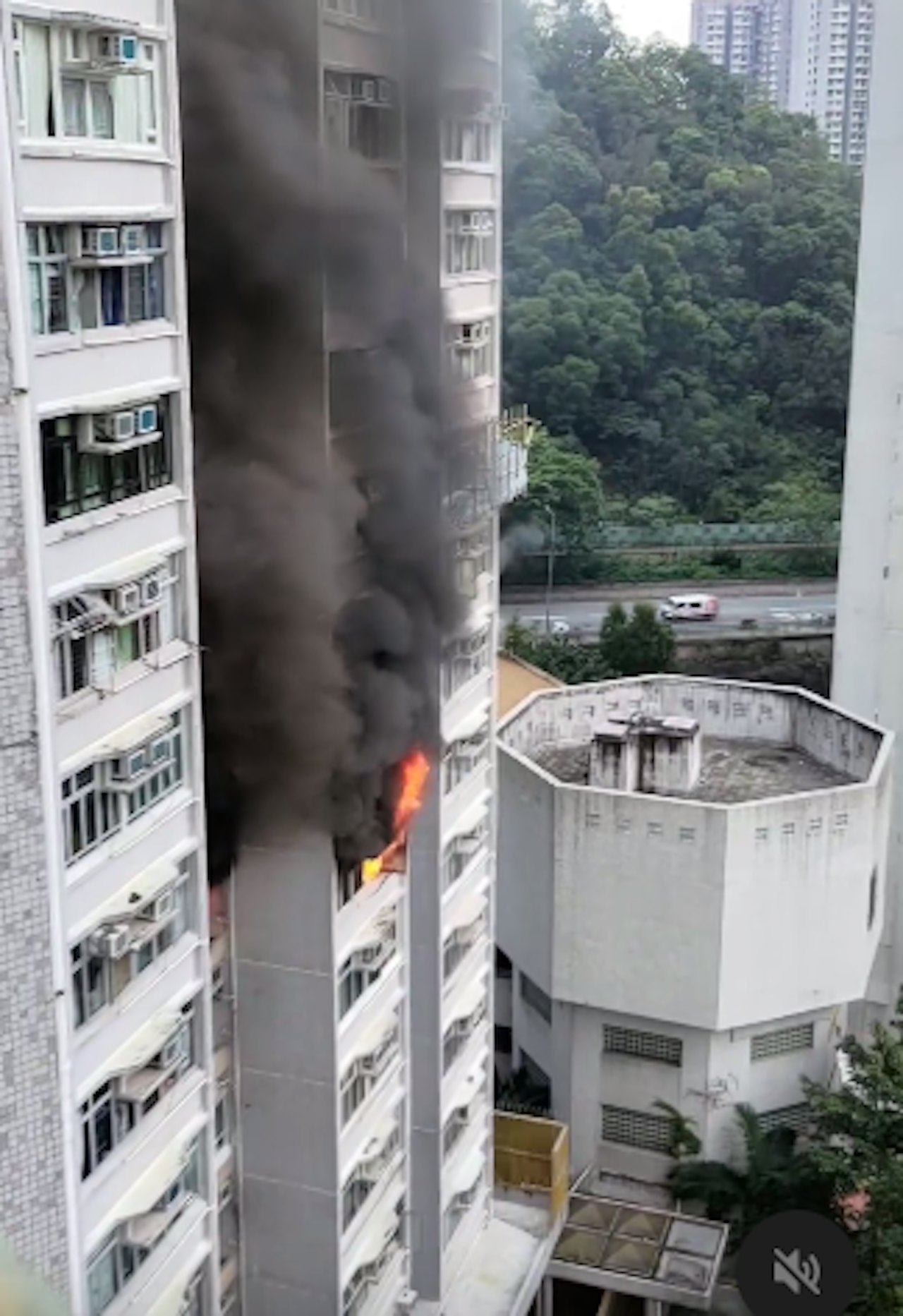 藍田德田邨火光黑煙吞噬住宅