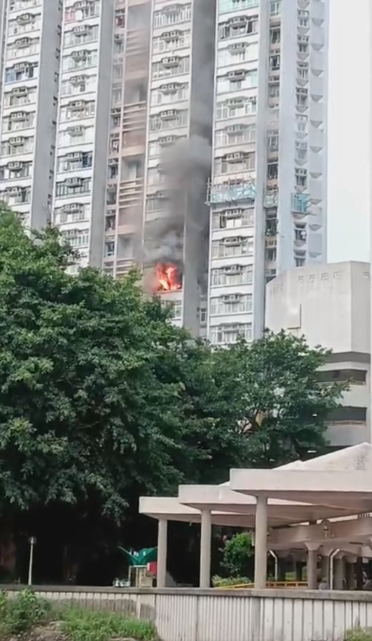 藍田德田邨火光黑煙吞噬住宅