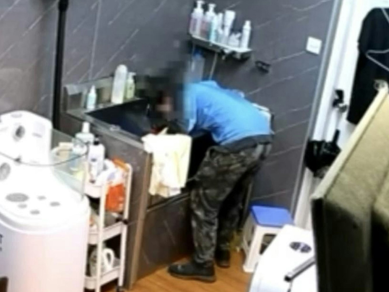 狗狗沖涼期間,遭寵物美容職員,花灑猛擊頭部致癱瘓 狗狗沖涼期間,遭寵物美容職員,花灑猛擊頭部致癱瘓