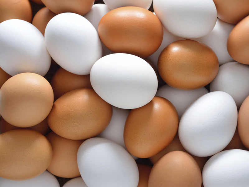 雞蛋這樣放 ... 恐怖細菌爬滿冰箱