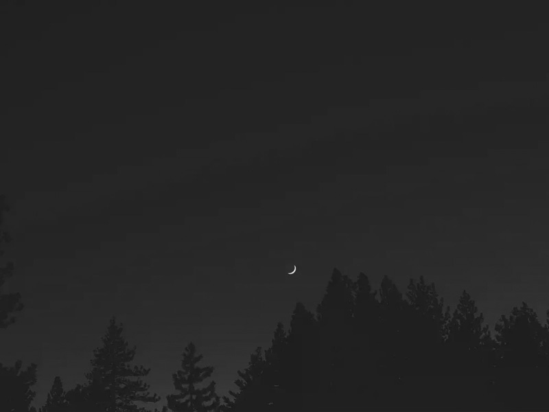 有種沉默,叫做失望 有種沉默,叫做失望