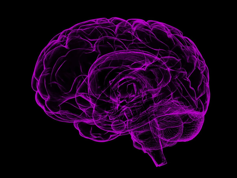 研究:愛讀心靈雞湯 有較低的智商 研究:愛讀心靈雞湯 有較低的智商