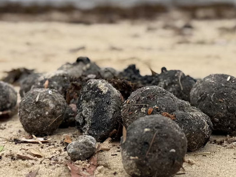 海灘接連發現,數千顆不明黑色球體 海灘接連發現,數千顆不明黑色球體