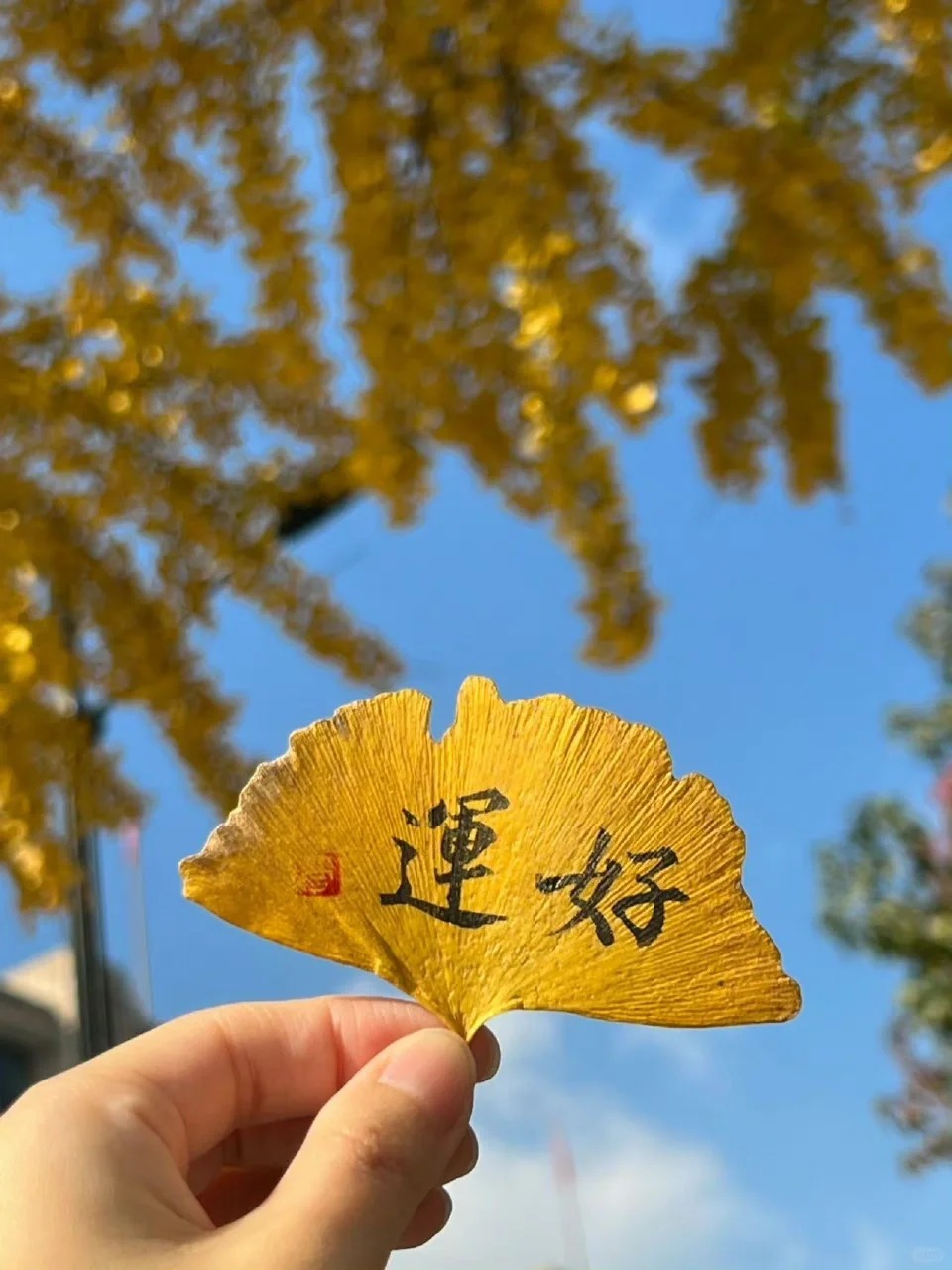 命運翻轉！當你出現這五種徵兆，好運即將降臨