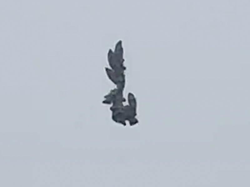 成都上空驚現神秘灰色飛行物 (影片) 成都上空驚現神秘灰色飛行物 (影片)