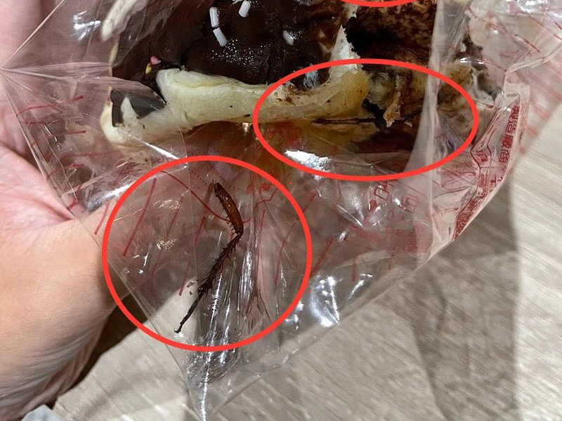 麵包咬到脆脆的感覺,竟發現是巨大蟑螂 麵包咬到脆脆的感覺,竟發現是巨大蟑螂