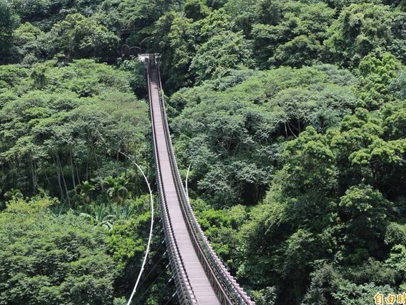 台灣阿里山棧道斷裂，5 名遊客墜入山谷