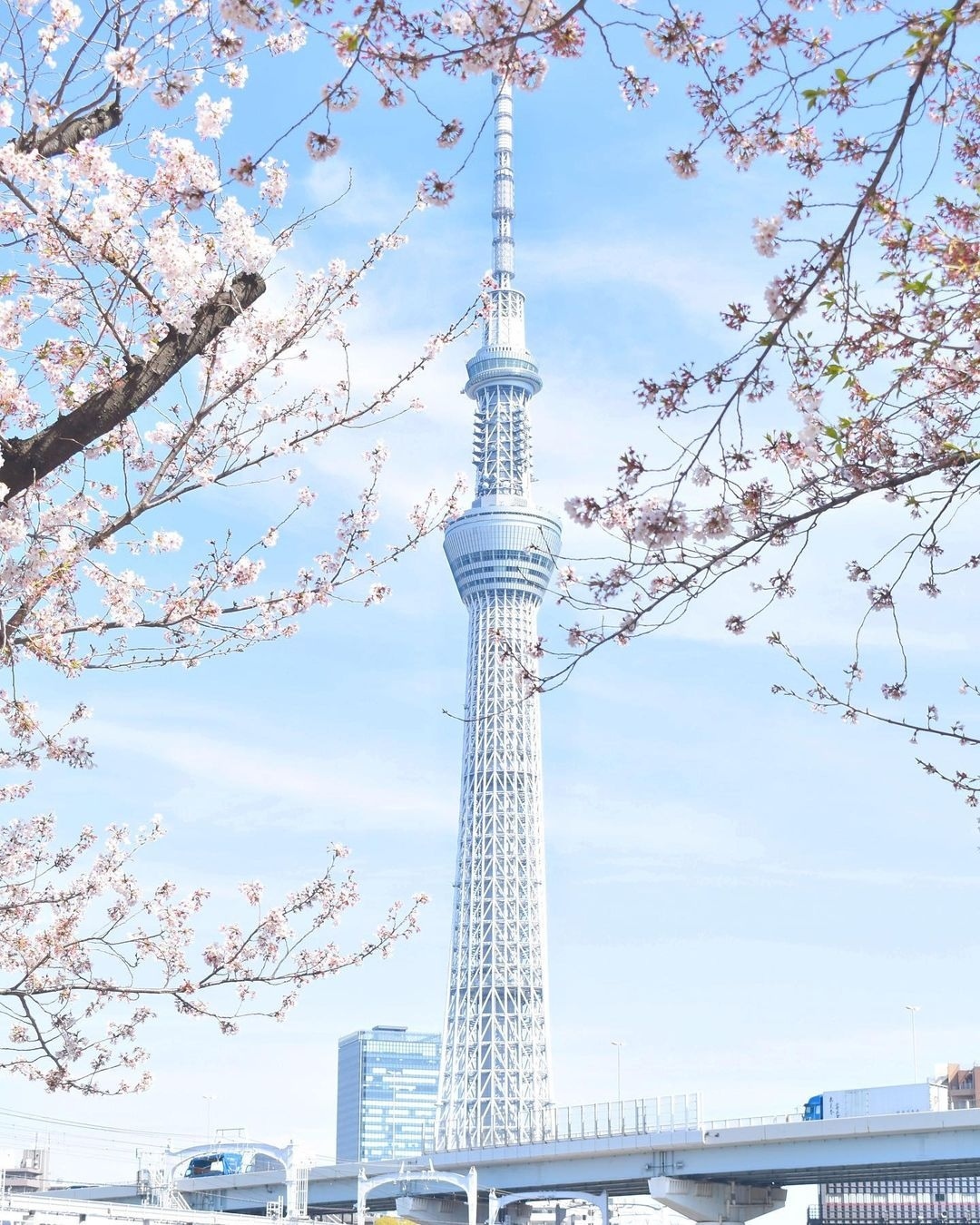 日本旅遊禁忌揭密：餐廳與電影院的隱藏禮儀