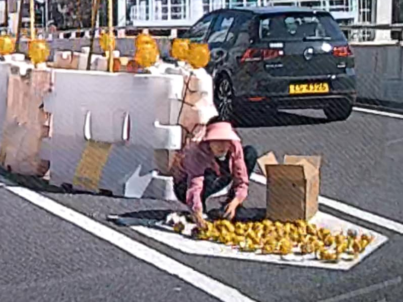 老婦分叉路口曬柚子皮！震驚網民！