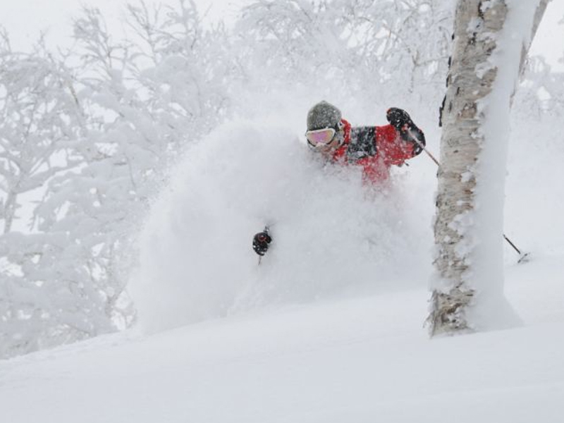 日本滑雪粉雪再奪命！中國遊客意外窒息身亡