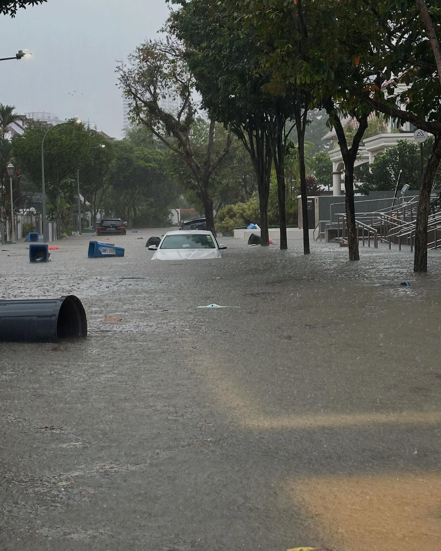 新加坡暴雨成災，徐若瑄車內受困