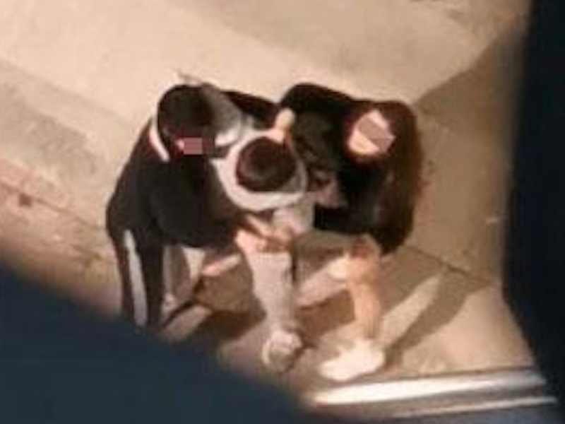 元旦街頭男女 MMA