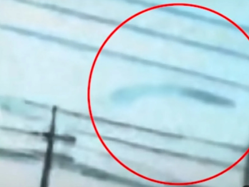 濟州航空失事前，空中驚現黑色巨物