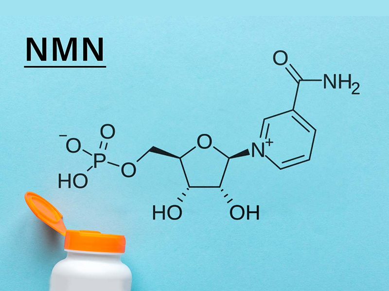 NMN 抗衰老祕密