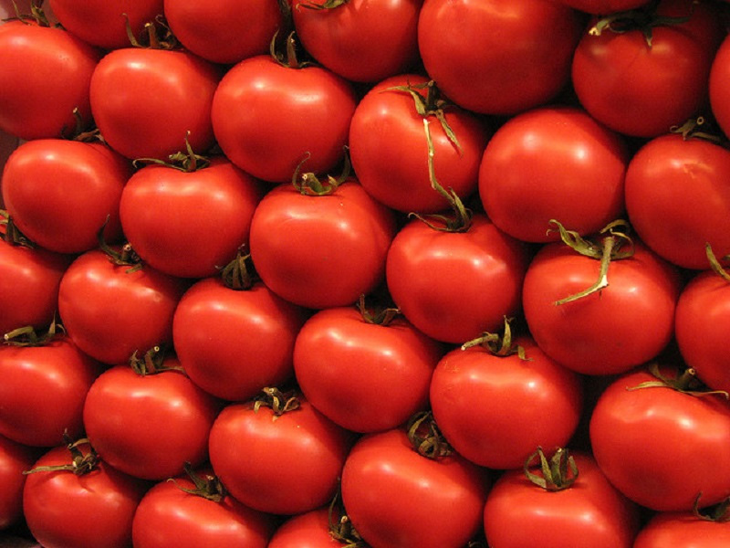 選番茄測看你在感情中是什麼性格
