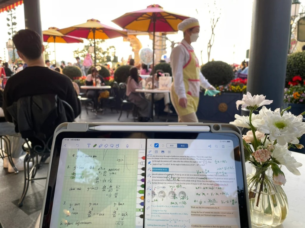 內地興購買年卡，迪士尼內溫書做功課
