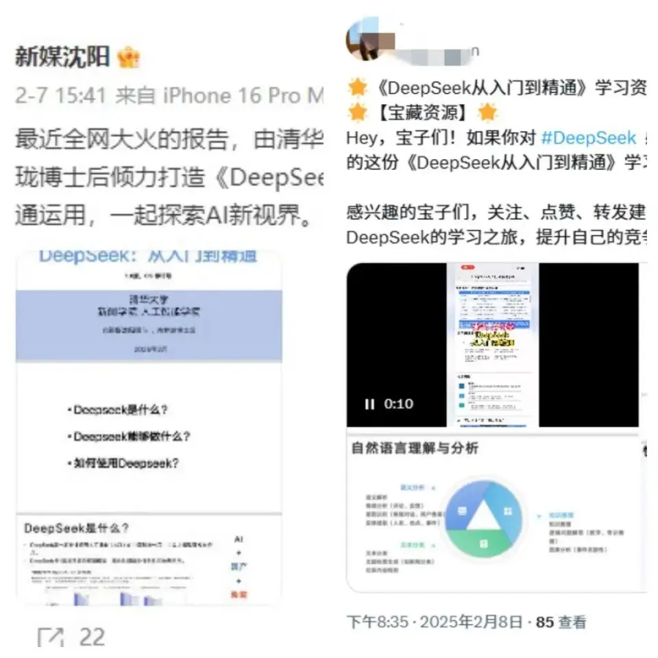 全民投身 DeepSeek：日入百萬不是夢