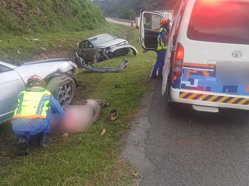 好爸爸見義勇為，反遭私家車撞斃