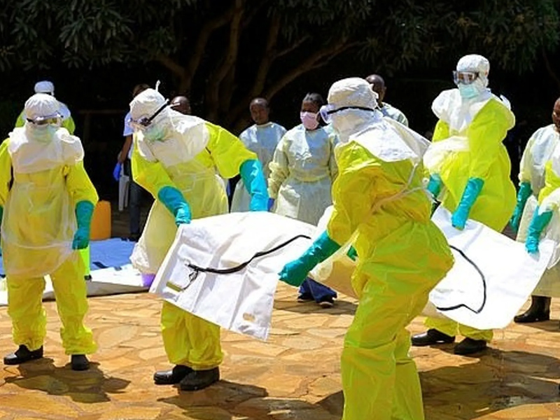 爆不明傳染病 53 人死，又有人食死蝙蝠